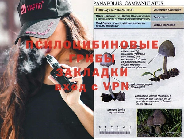 ALPHA PVP Краснослободск