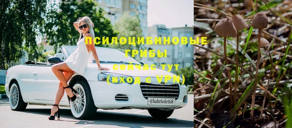 спиды Ладушкин