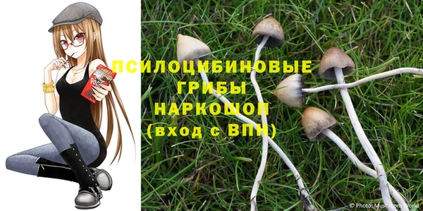 стаф Краснотурьинск