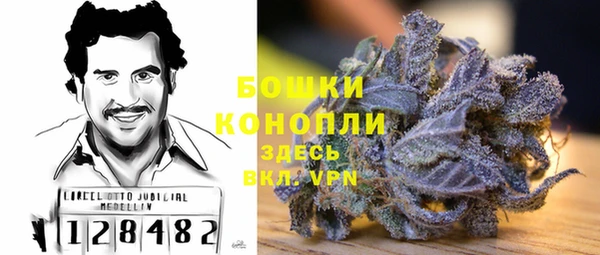 ALPHA PVP Краснослободск