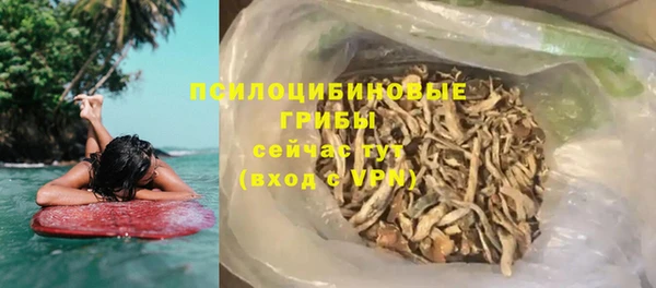 стаф Краснотурьинск