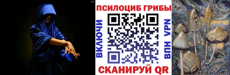 Галлюциногенные грибы Cubensis Купить где Правдинск
